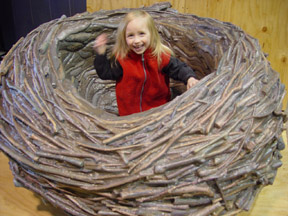 Girl in Nest